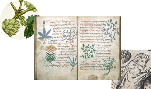 重新审视大自然带来的恩惠，未来的良好环境，我们拭目以待